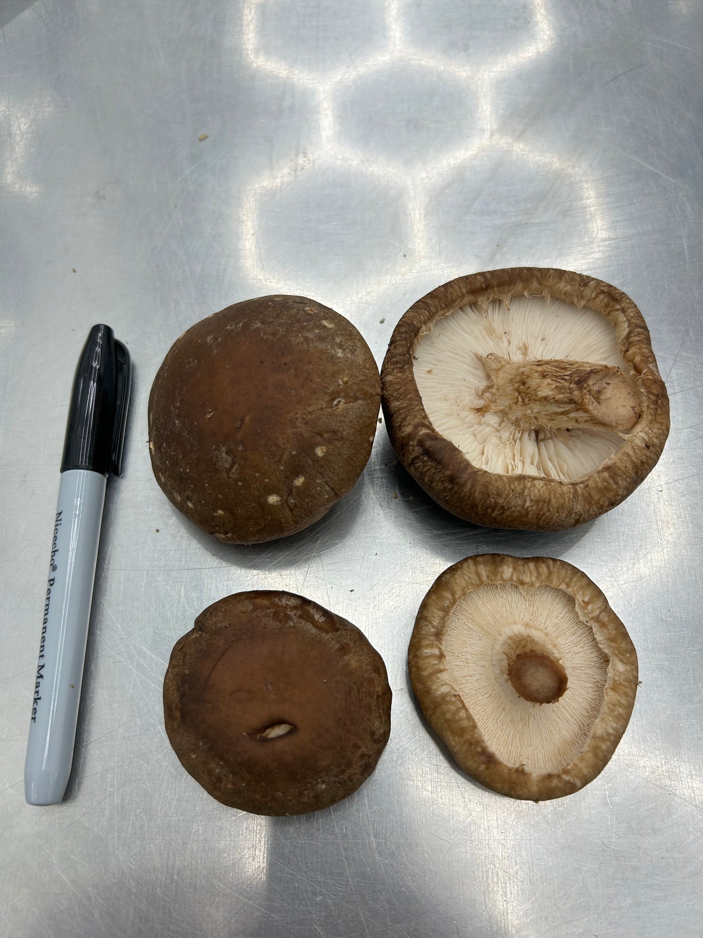 Shiitake Mushroom - Far West Fungi - 6lb/case