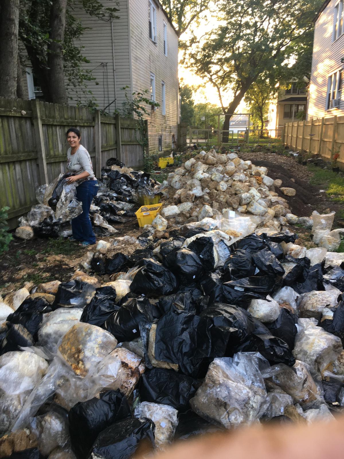 Spent Mushroom Substrate