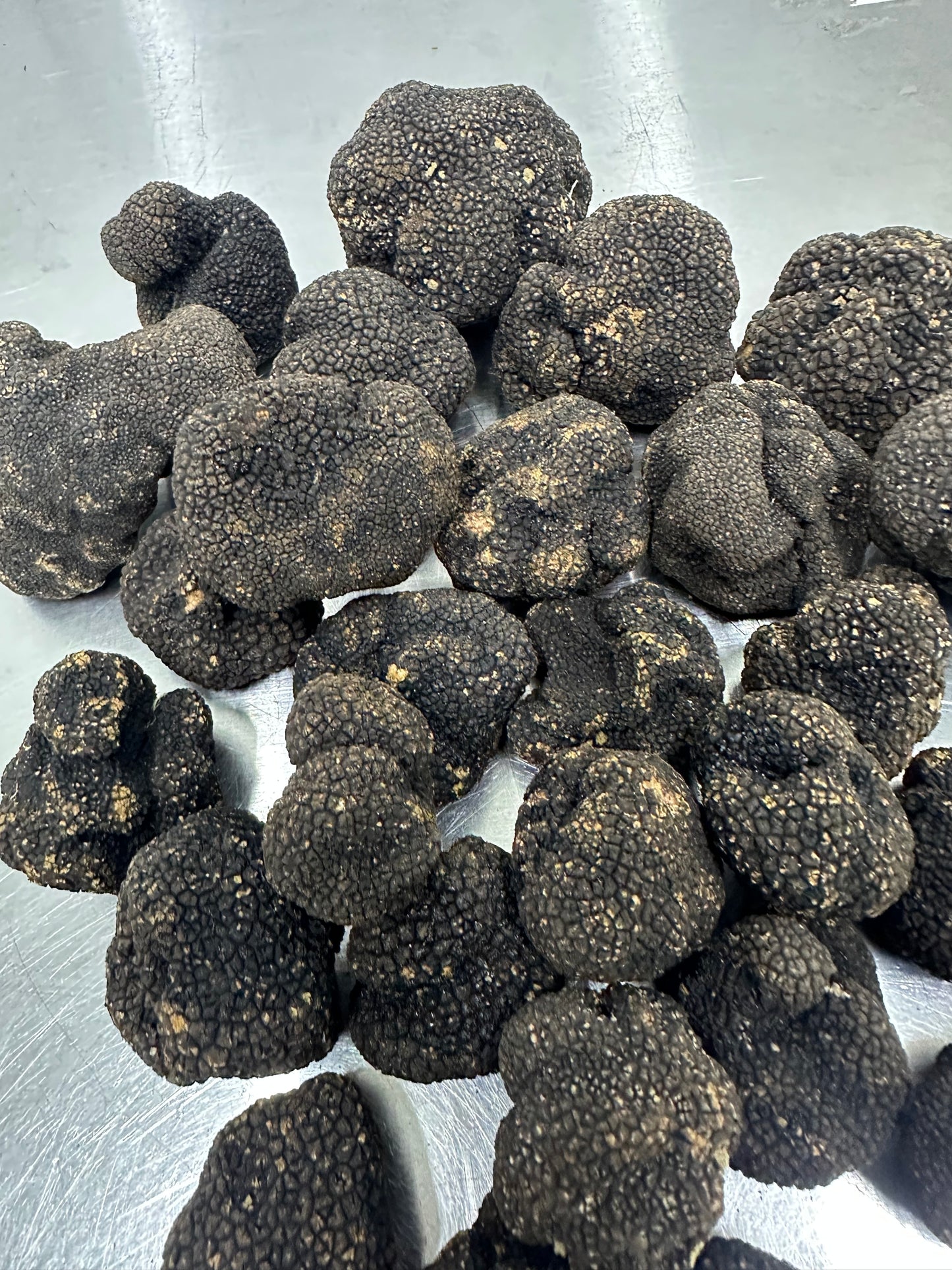 Black Summer Truffle - ITALY - per oz