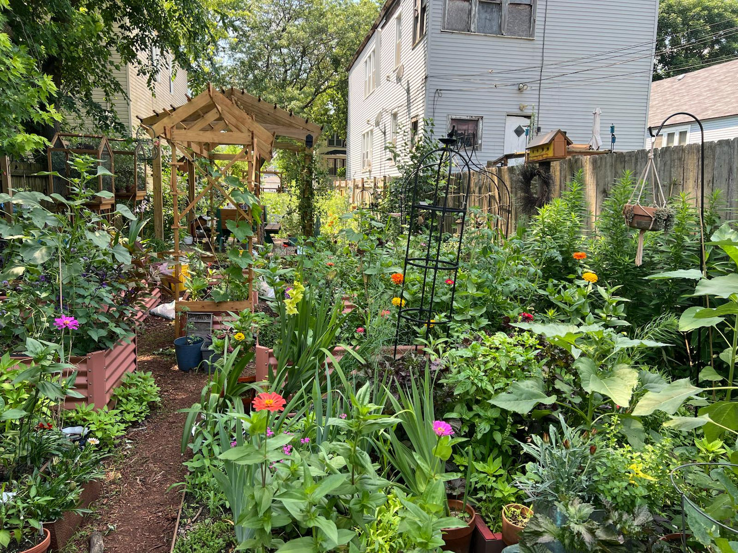 Spent Mushroom Substrate