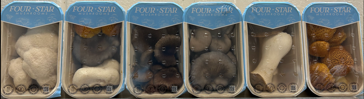 Build Your Own Six Pack
