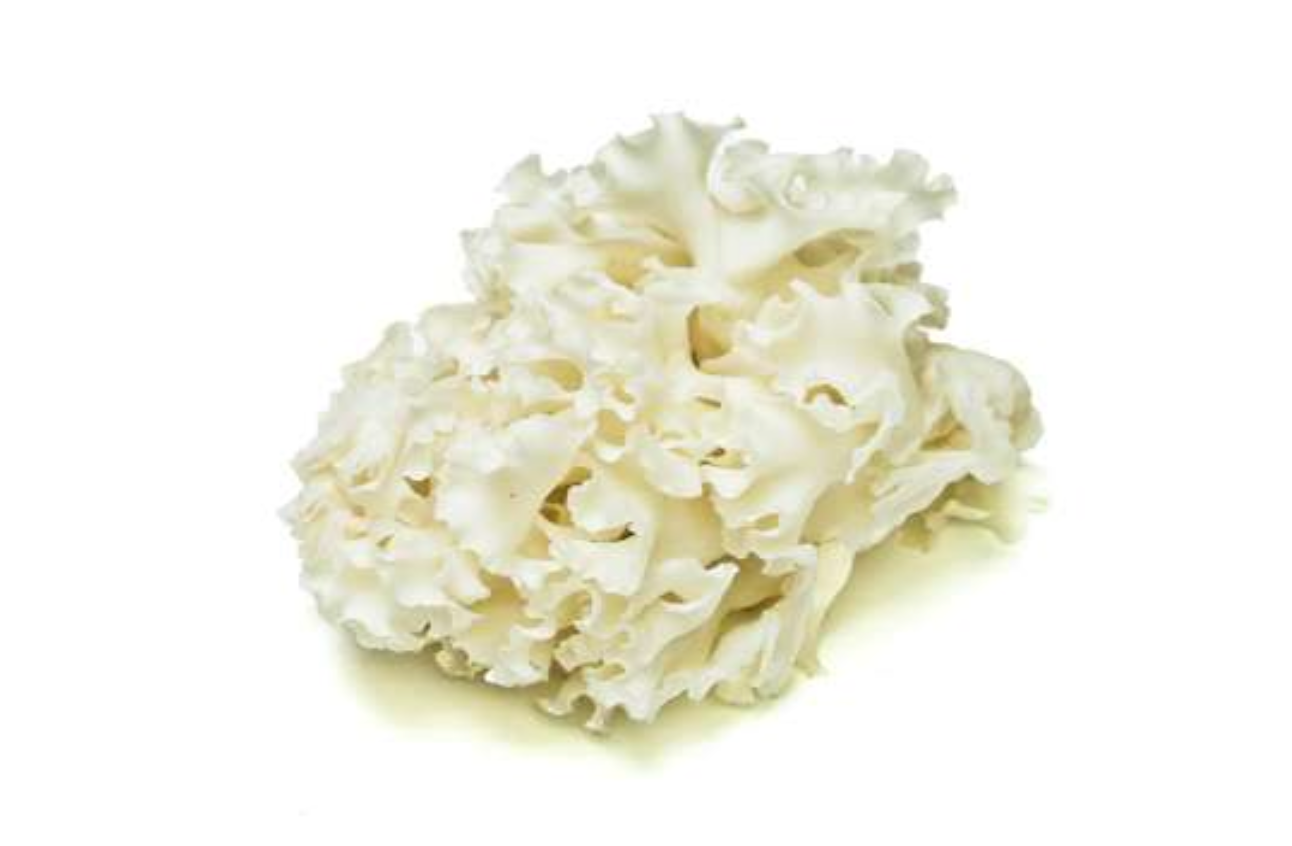 Cauliflower Mushroom - Import - per lb